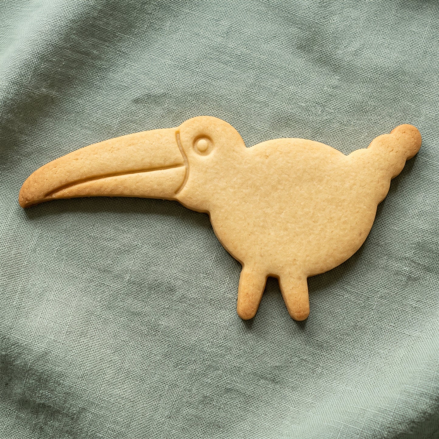 Toucan Cookie Cutter and Stamp Set